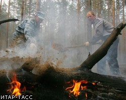 Белгородские депутаты ввели штраф до 100 тыс руб за нарушение запрета на посещение лесов