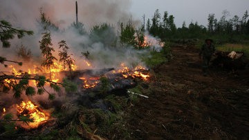 Рослесхоз проведет в Приамурье выездное совещание по лесным пожарам