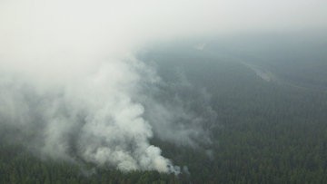 Число лесных пожаров выросло в России за сутки с двух до восьми очагов 