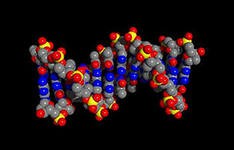 Ученые из США научились оценивать выбросы CO2 для каждой улицы и дома