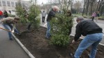 Около 3,5 тысячи деревьев посадили в Ульяновской области в рамках общероссийской акции