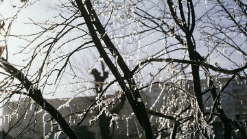 Ночные заморозки и мокрый снег ожидаются в Москве на этой неделе