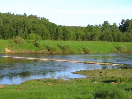 От здоровья деревьев, растущих возле водосбора, зависит качество питьевой воды.